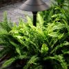 CETO musta, 2W / 100 lm, 380 x 190 mm - Image 2