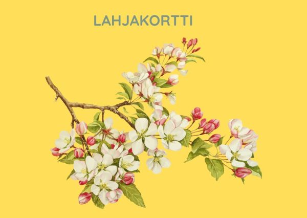 Lahjakortti