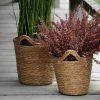 Kori Typha L 18x18cm - Image 3
