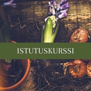 Istutuskurssi 13.11.2025 klo 17