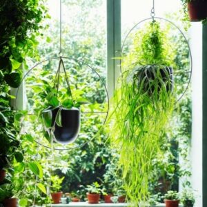 Pyöreä musta amppeli