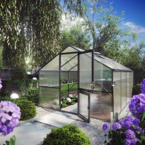 KASVIHUONE ORCHIDEE, 10 MM KENNOLEVY - 12,74