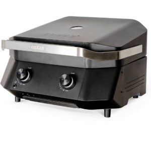 Cozze G-500 Plancha